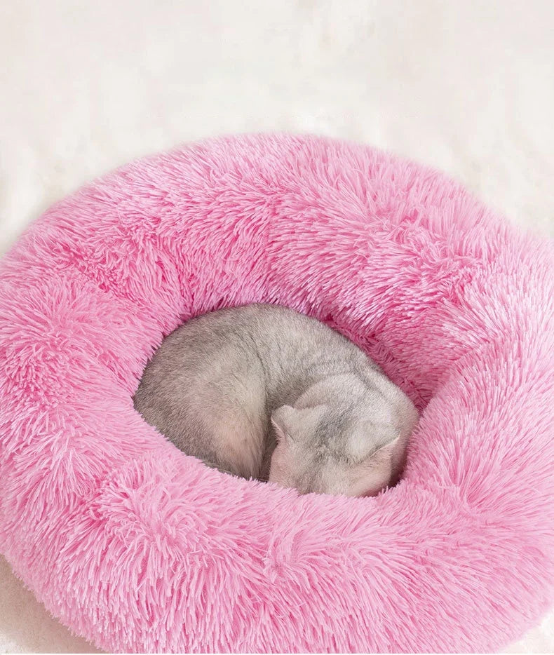 Cats Bed House Donut Round Sofa Supplies Winter Pet Accessories Warm Products Cushions Basket Kitten Mat for Cat Dog Beds