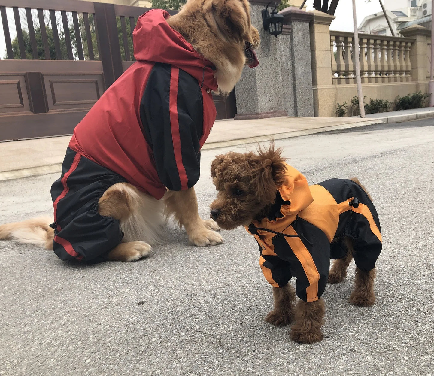 Big Dog Hooded Raincoat Puppy Raincoat Medium Large Dog Jacket Bull Terrier Staffordshire/Greyhound