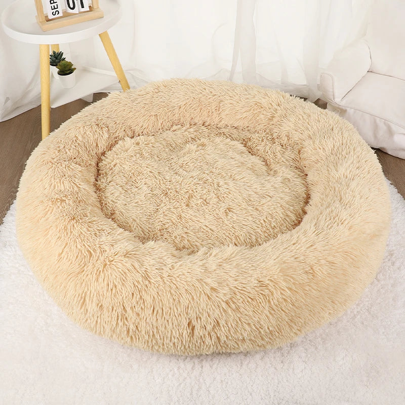 Cats Bed House Donut Round Sofa Supplies Winter Pet Accessories Warm Products Cushions Basket Kitten Mat for Cat Dog Beds