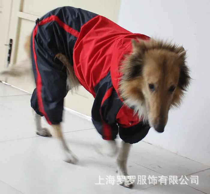 Big Dog Hooded Raincoat Puppy Raincoat Medium Large Dog Jacket Bull Terrier Staffordshire/Greyhound