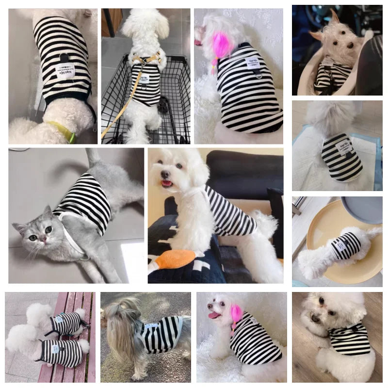 2024 Dog Vest Summer Puppy Clothes Striped Dog Clothing Cotton Suspenders Dog Apparel Chihuahua French Bulldog Girls Dog Costume