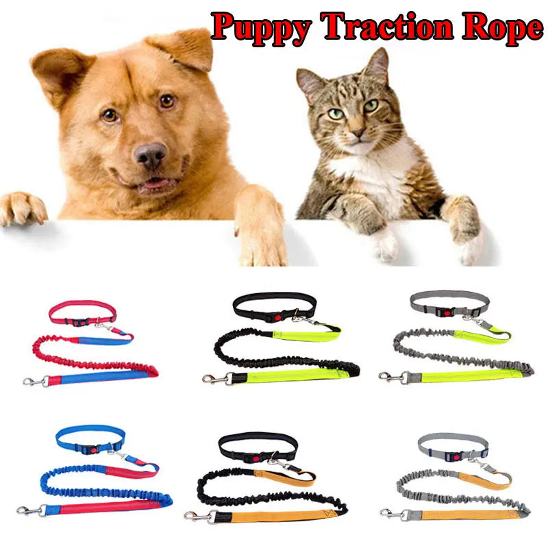 Adjustable Hand Free Dog Leash for Dog Pet Walking Running Jogging Dog leashes Waist Belt Chest Strap Traction Rope pet collars