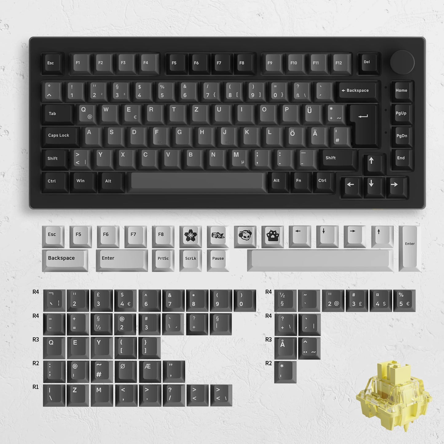 Akko 5075B Plus ANSI/ISO 75% Mechanical Gaming Keyboard 3/5 Pin Hot Swap Three-Modes RGB 2.4GHz Wireless/USB Type-C/BT 5.0