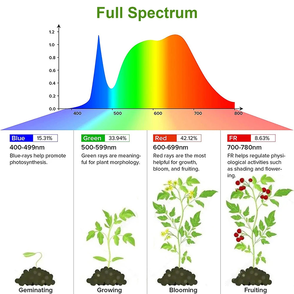 1/2/3/4 LED Grow Light Strips for Indoor Plants USB Full Spectrum Phyto Lamp Dimmable Timer Seedlings Vegs Flower Growing Lamp