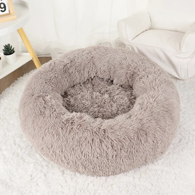 Cats Bed House Donut Round Sofa Supplies Winter Pet Accessories Warm Products Cushions Basket Kitten Mat for Cat Dog Beds