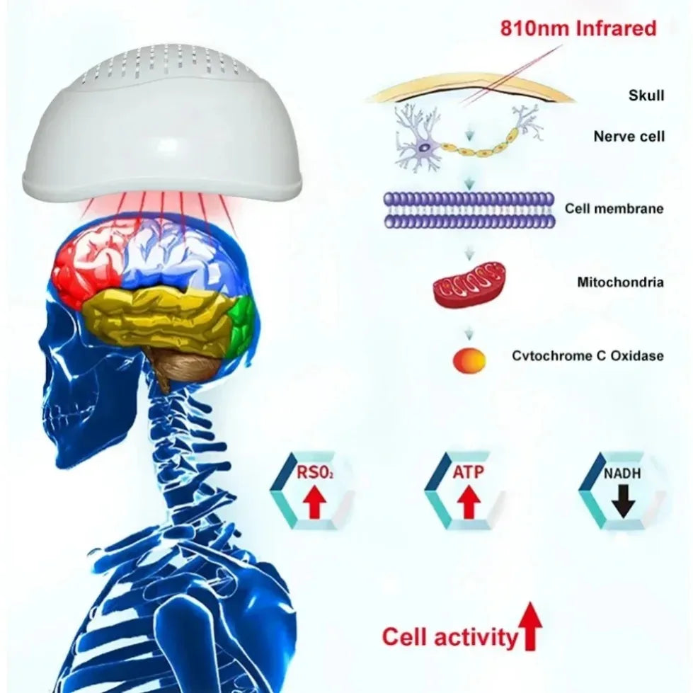 ZJKC Physiotherapy LED Brain Therapy Helmet Cap 810nm Migraine Headache Relief Photobiomodulation Treatment Parkinson Alzheimer