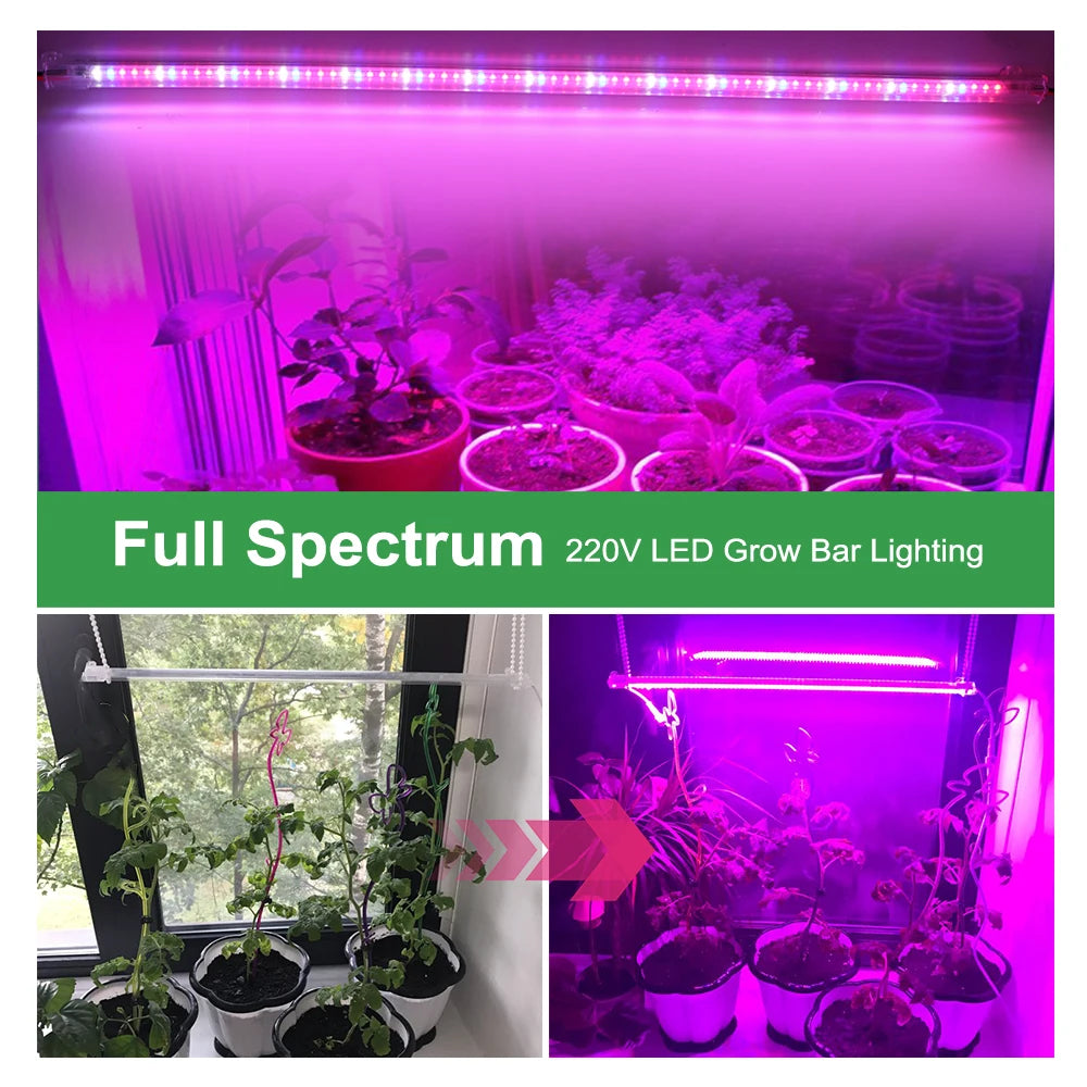 AC220V LED Grow Light 75leds LED Plant Light Bar Full Spectrum Phyto Lamp For Indoor Plants Flowers Hydroponics System