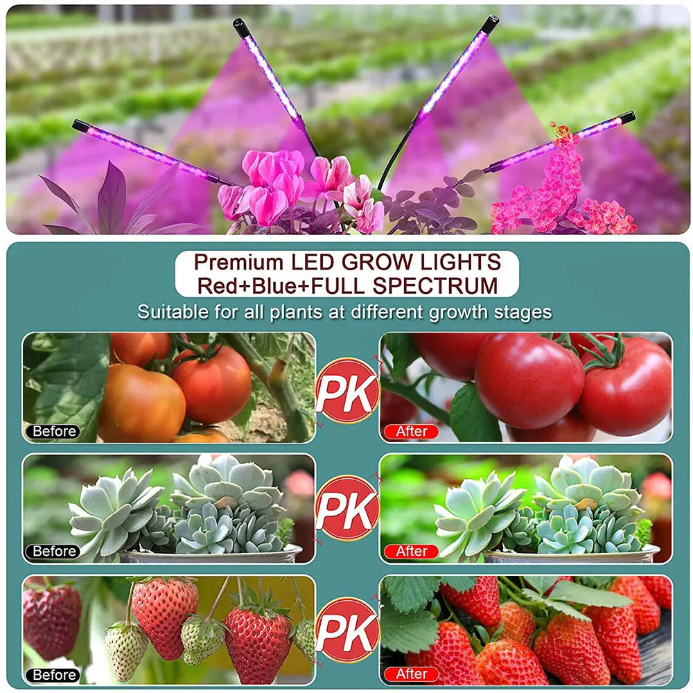 30-150 LED USB Grow Light Phytolamp for Plants with Control Full Spectrum Fitolamp Lights Home Flower Seedling Clip Phyto Lamp