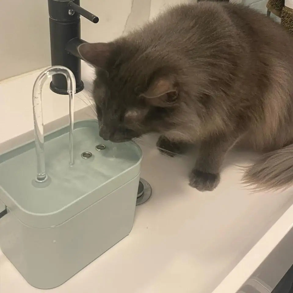 1.5L Cat Water Fountain Auto Filter Mute Cat Dog Drinker Bowl Recirculate Filtring Drinker for Cats Pet Water Dispenser