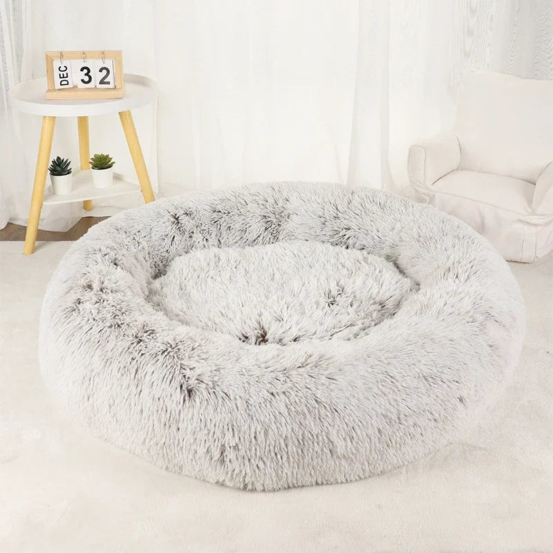 Cats Bed House Donut Round Sofa Supplies Winter Pet Accessories Warm Products Cushions Basket Kitten Mat for Cat Dog Beds