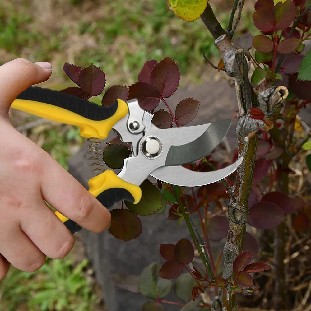 1Pcs Pruner Garden Scissors Professional Sharp Bypass Pruning Shears Tree Trimmers Secateurs Hand Clippers Garden Beak Scissors