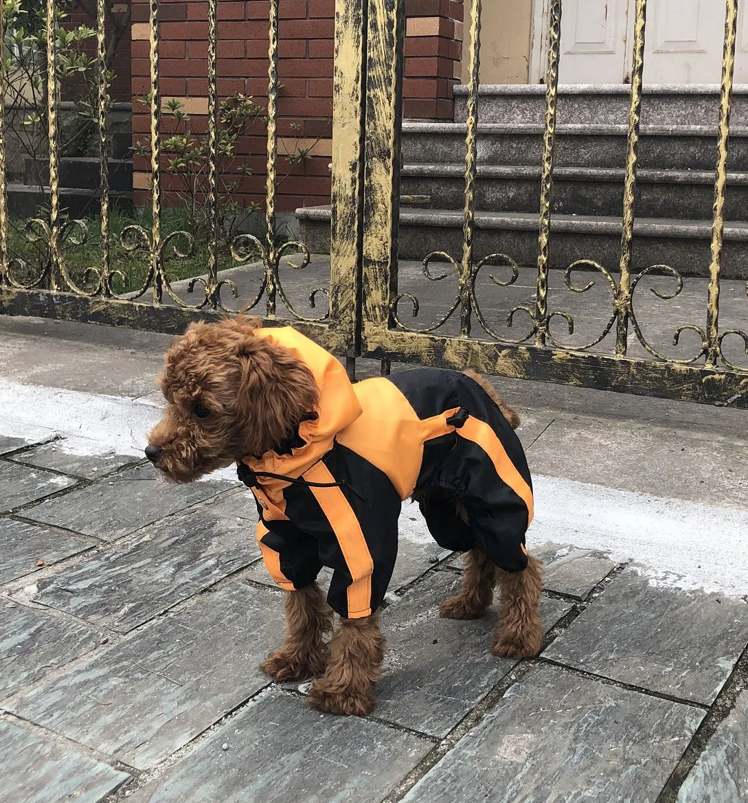 Big Dog Hooded Raincoat Puppy Raincoat Medium Large Dog Jacket Bull Terrier Staffordshire/Greyhound