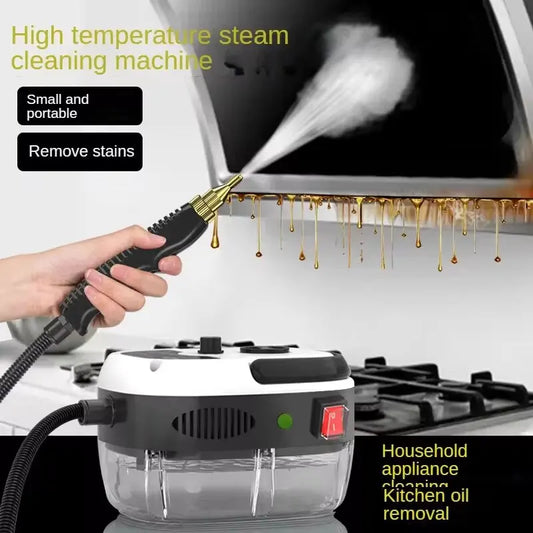 2024 NEW Steam Cleaner High Temperature Disinfection Air Conditioning Kitchen Range Hood Household/Car Steam Cleaner 220V