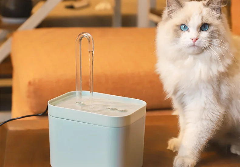 1.5L Automatic Cat Water Fountain USB Powered Electric Mute Pet Drinker Bowl Pet Drinking Dispenser Drinker for Cat Water Filter