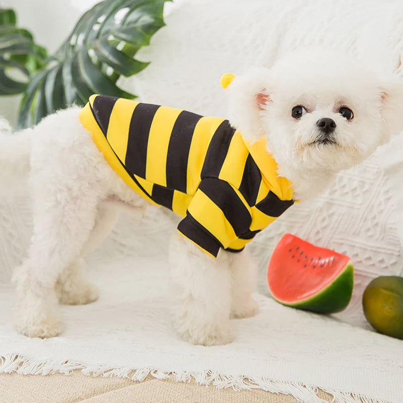 Bee Designer Dog Cat Cosplay Costume Funny Outfit Pet Hoodies Christmas Sweater Warm Coat for Small Dogs Cute Puppy Clothes