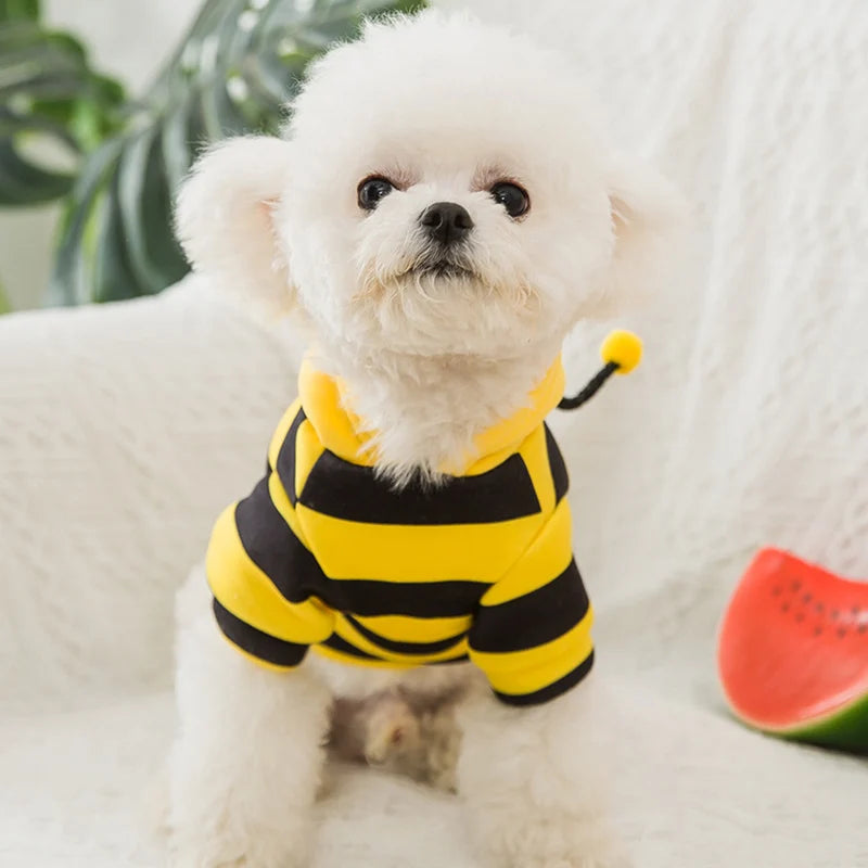 Bee Designer Dog Cat Cosplay Costume Funny Outfit Pet Hoodies Christmas Sweater Warm Coat for Small Dogs Cute Puppy Clothes