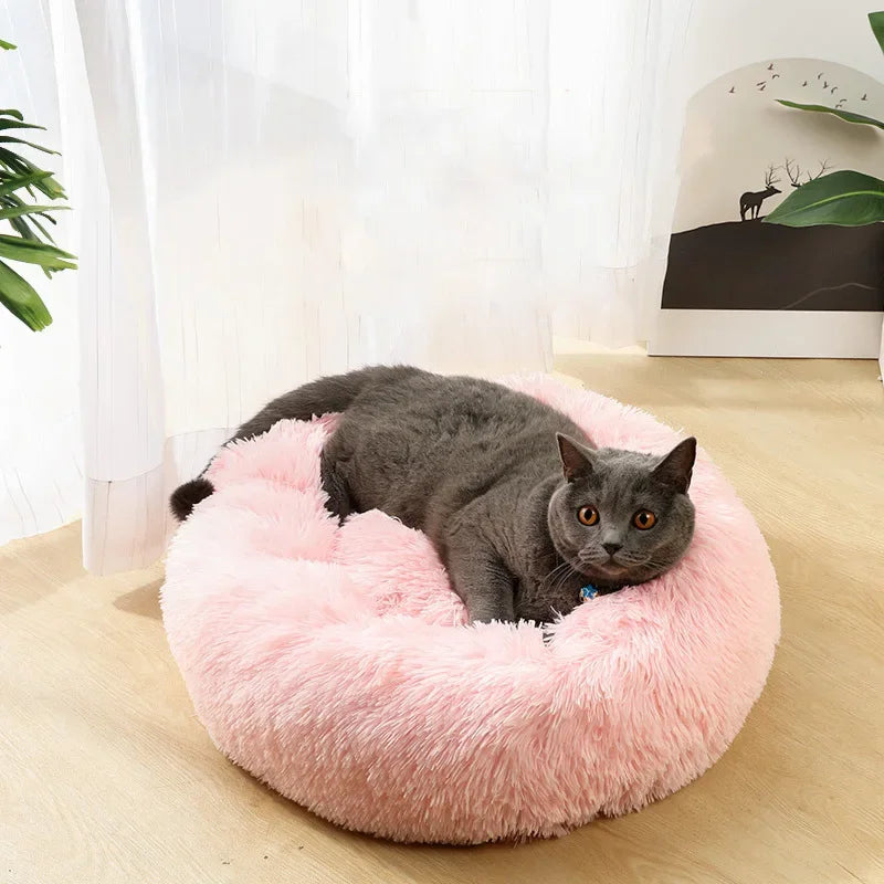 Cats Bed House Donut Round Sofa Supplies Winter Pet Accessories Warm Products Cushions Basket Kitten Mat for Cat Dog Beds