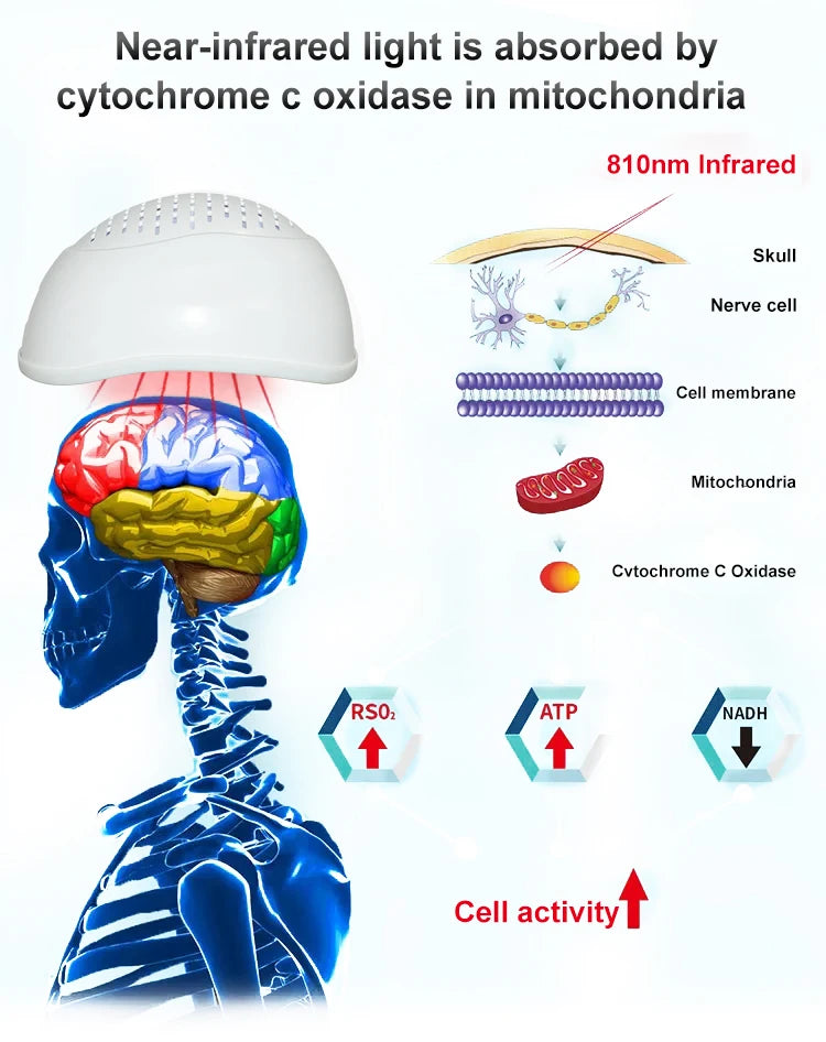 ZJZK Professional Photobiomodulation LED 810nm Cap for Migraine Headache Relief & Parkinson Alzheimer Dementia Stroke Treatment