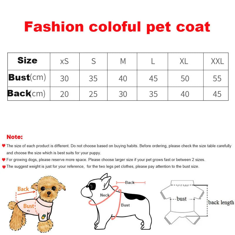 Colorful Puppy Clothes Designer Dog Clothes Small Dog Cat Luxury Hoodie Schnauzer Yorkie Poodle Rainbow Coat