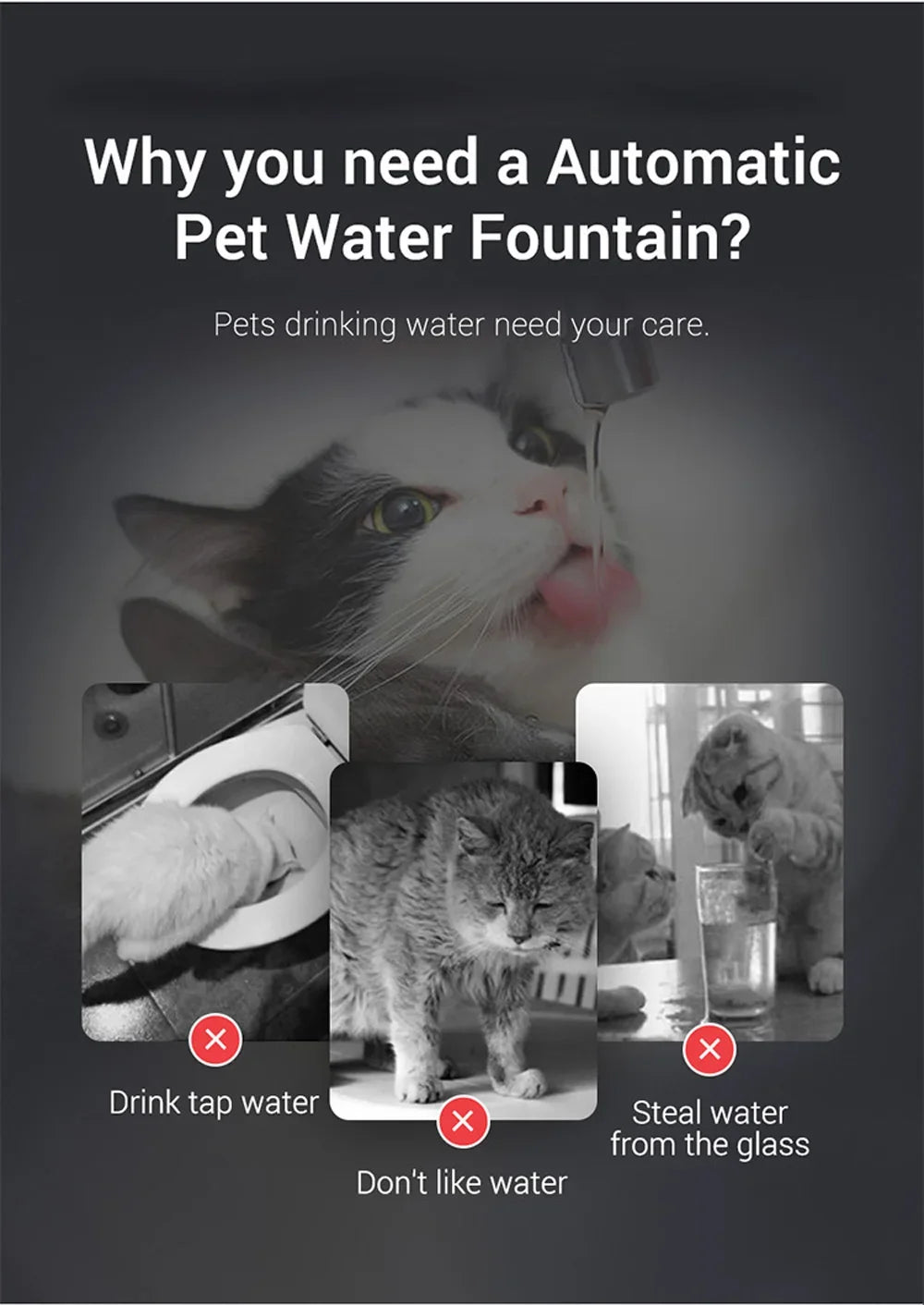 2L Pet Cat Dog Drinker Fountain Activated Filter USB Powered Automatic Pet Feeder Motion Sensor Bowl Pet Silent Drinking Bowl