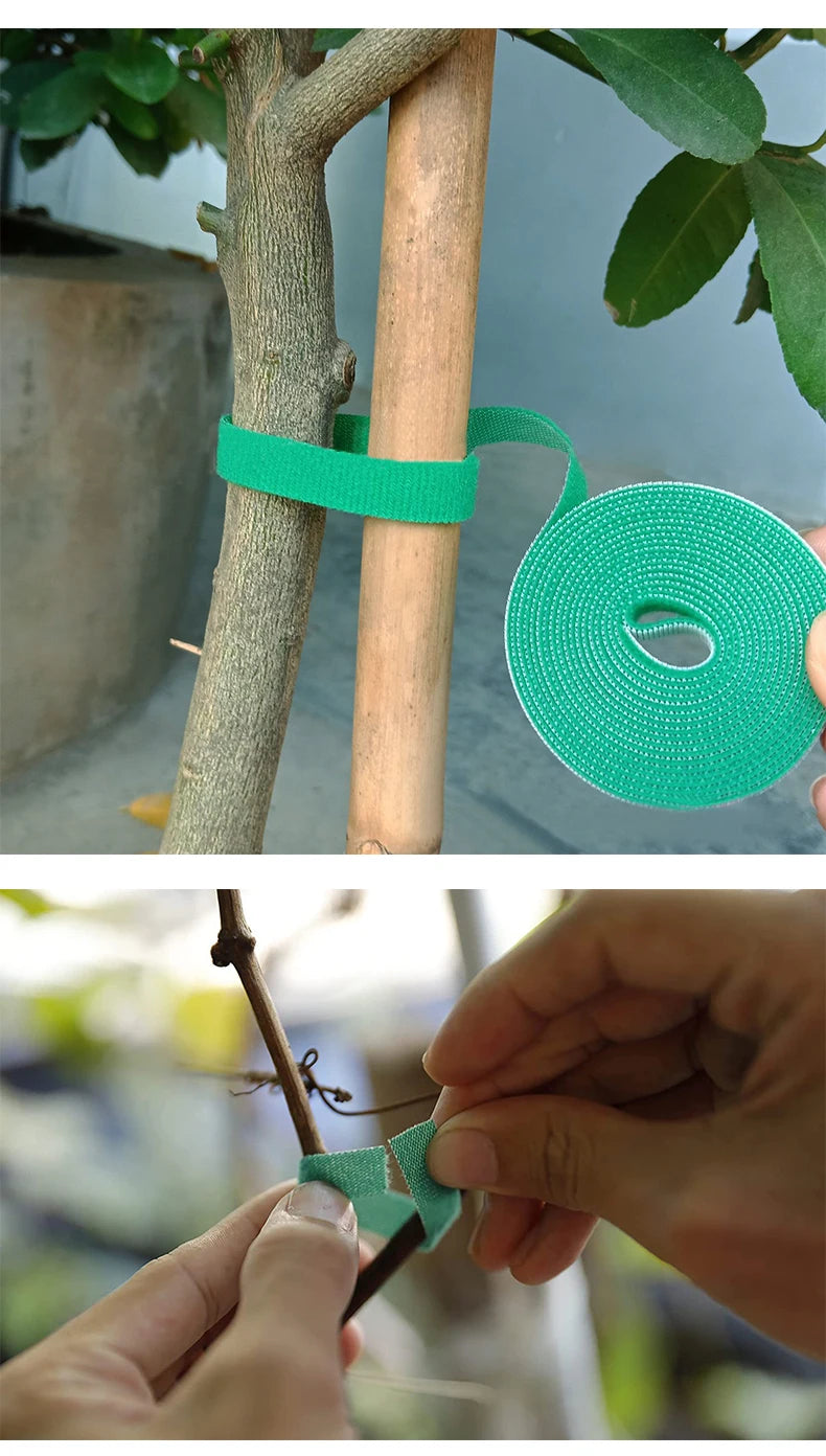 3 Rolls Green Garden Twine Plant Ties Nylon Plant Bandage Garden Hook Loop Bamboo Cane Wrap Support Garden Accessories