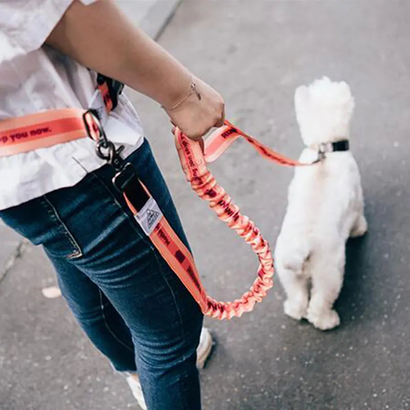 Adjustable Hand Free Dog Leash for Dog Pet Walking Running Jogging Dog leashes Waist Belt Chest Strap Traction Rope pet collars